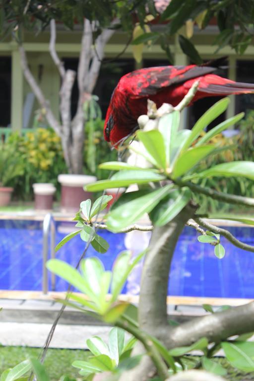 Hotel Puri Nusantara Kuta  Exterior photo